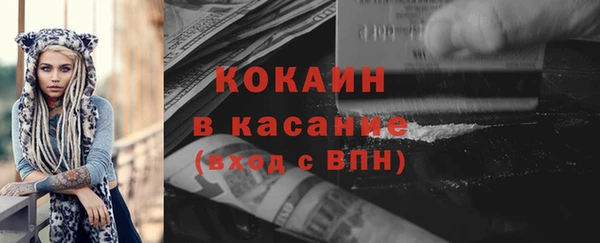 твердый Алексеевка