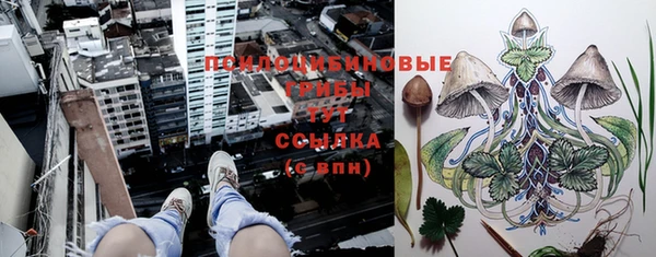 твердый Алексеевка