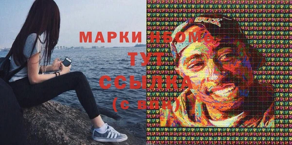 стаф Алексин