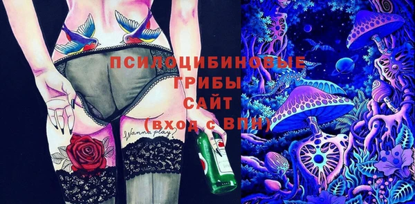 твердый Алексеевка
