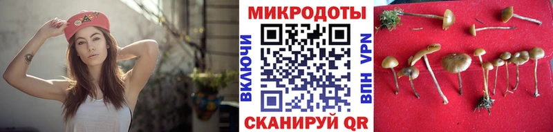 Псилоцибиновые грибы ЛСД  Добрянка 